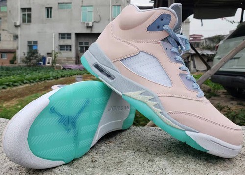 Air Jordan 5 Retro SE