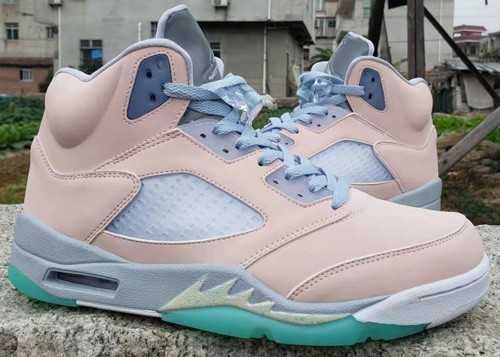 Air Jordan 5 Retro SE
