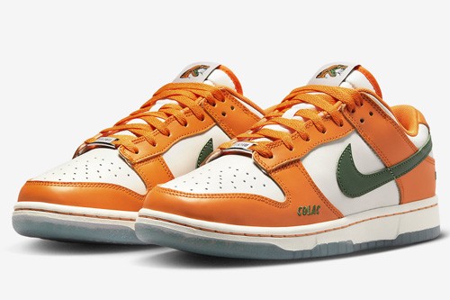 Nike Dunk Low “Florida A&M” - DR6188-800